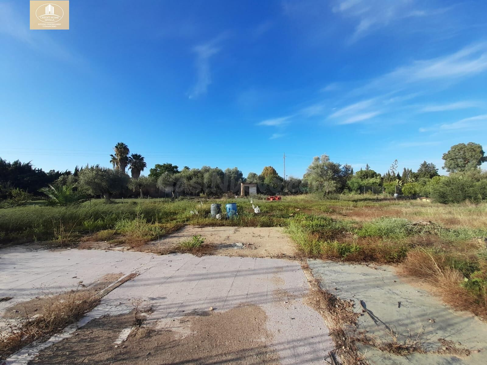 Terreno urbanizable 3 habitaciones en venta - Los Encinares