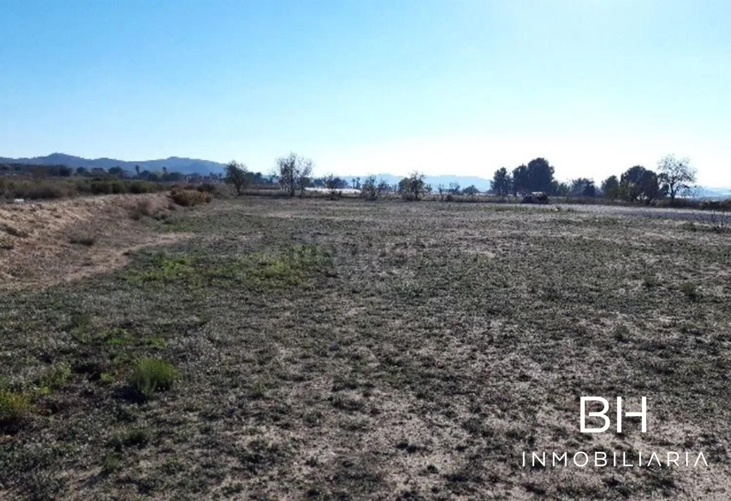 Venta de Suelo Urbanizable Residencial en Sendero ORITO, POLIGONO 11 Nº 162 Monforte del Cid/Alcant