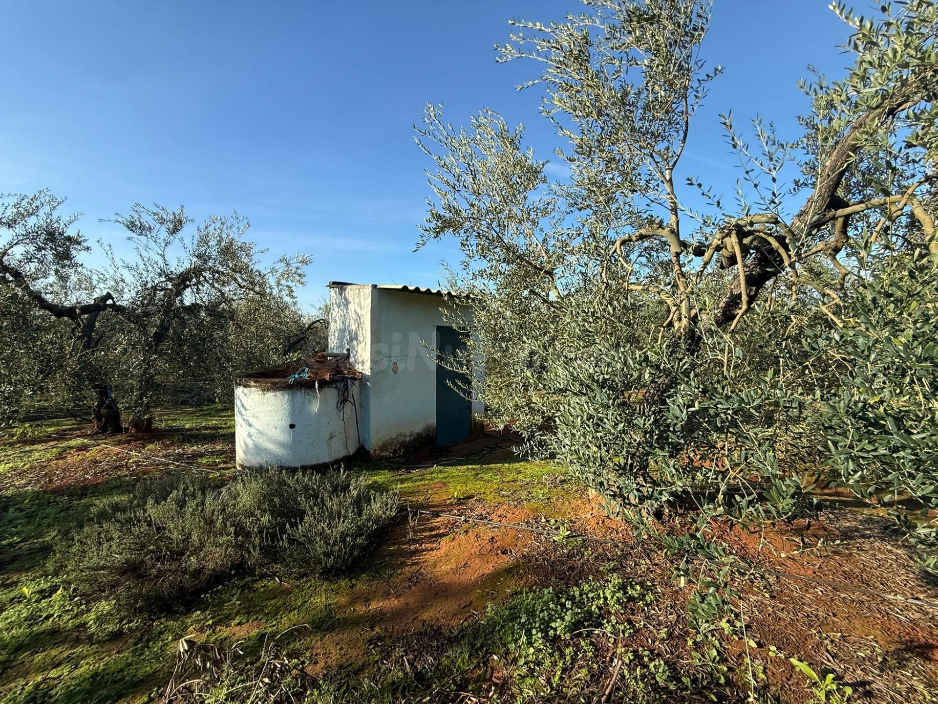 Terreno rural en venta - Andalucia