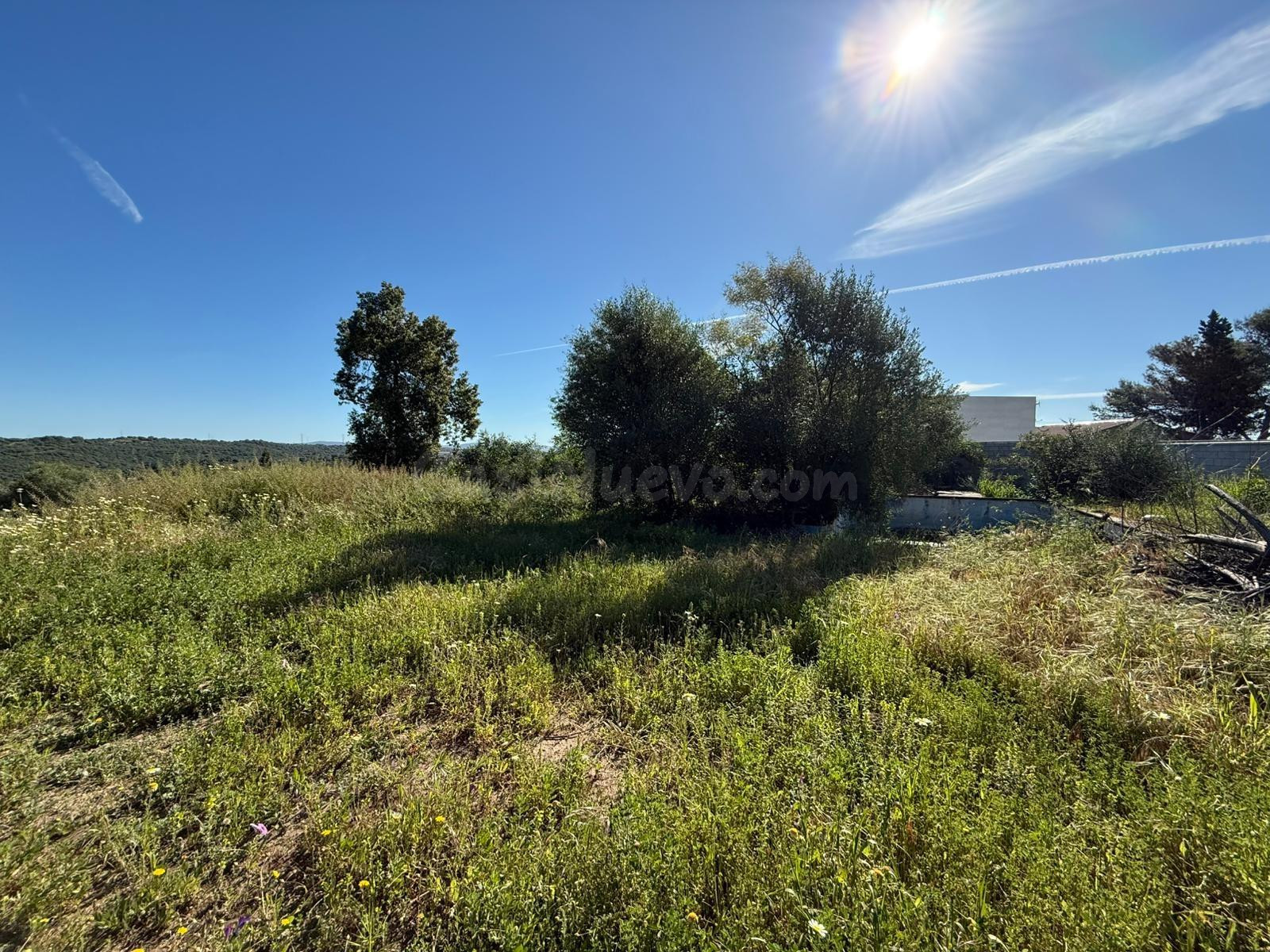 Terreno urbano en venta - Las Pajanosas