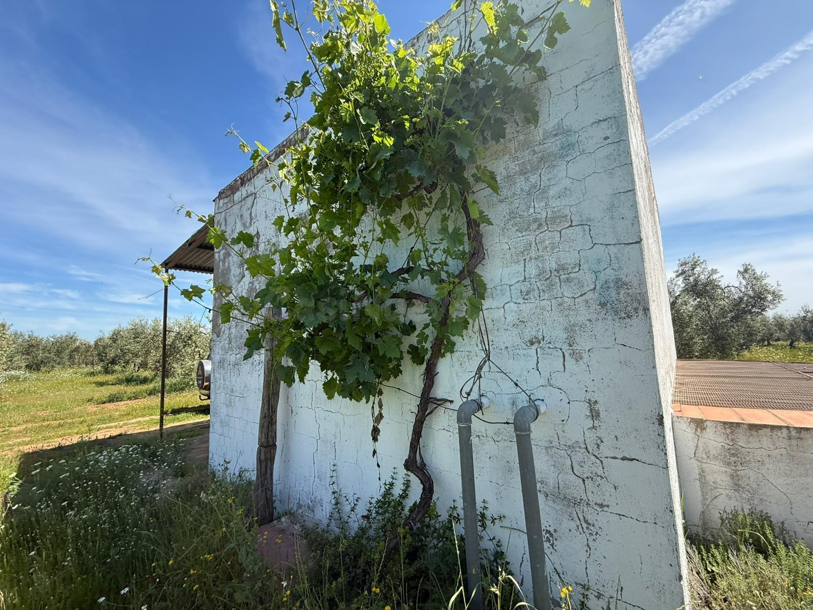 Terreno rural 36m² en venta - Andalucia