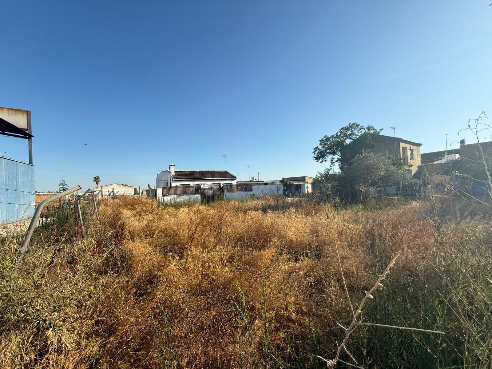 Terreno rural en venta - PILAS