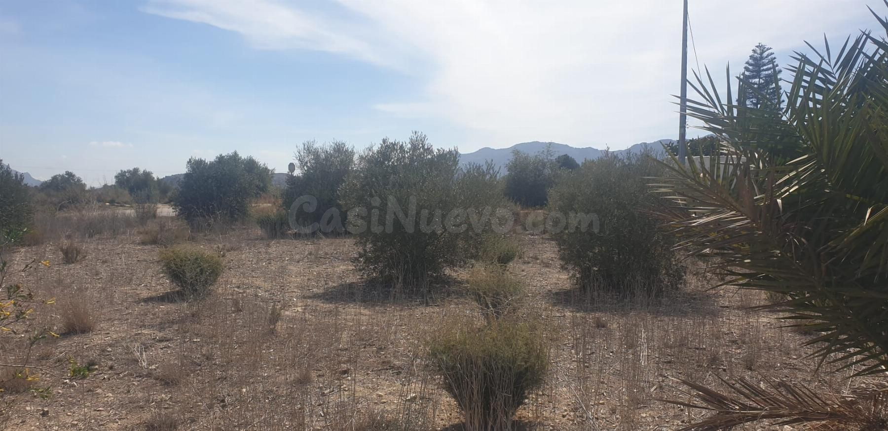 Parcela 5700m² en venta - Comunidad valenciana
