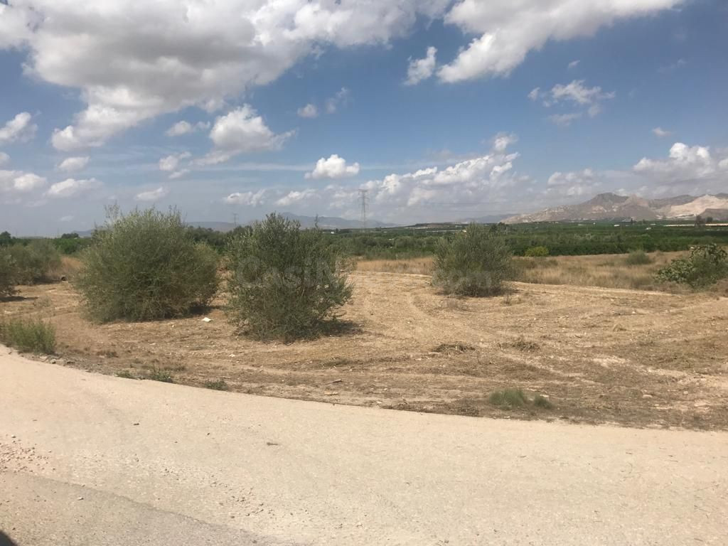 Parcela 1270m² en venta - Comunidad valenciana