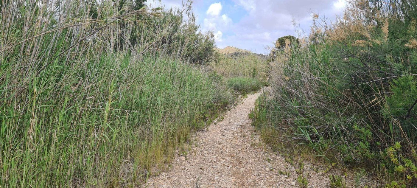Parcela 330m² en venta - Abanilla