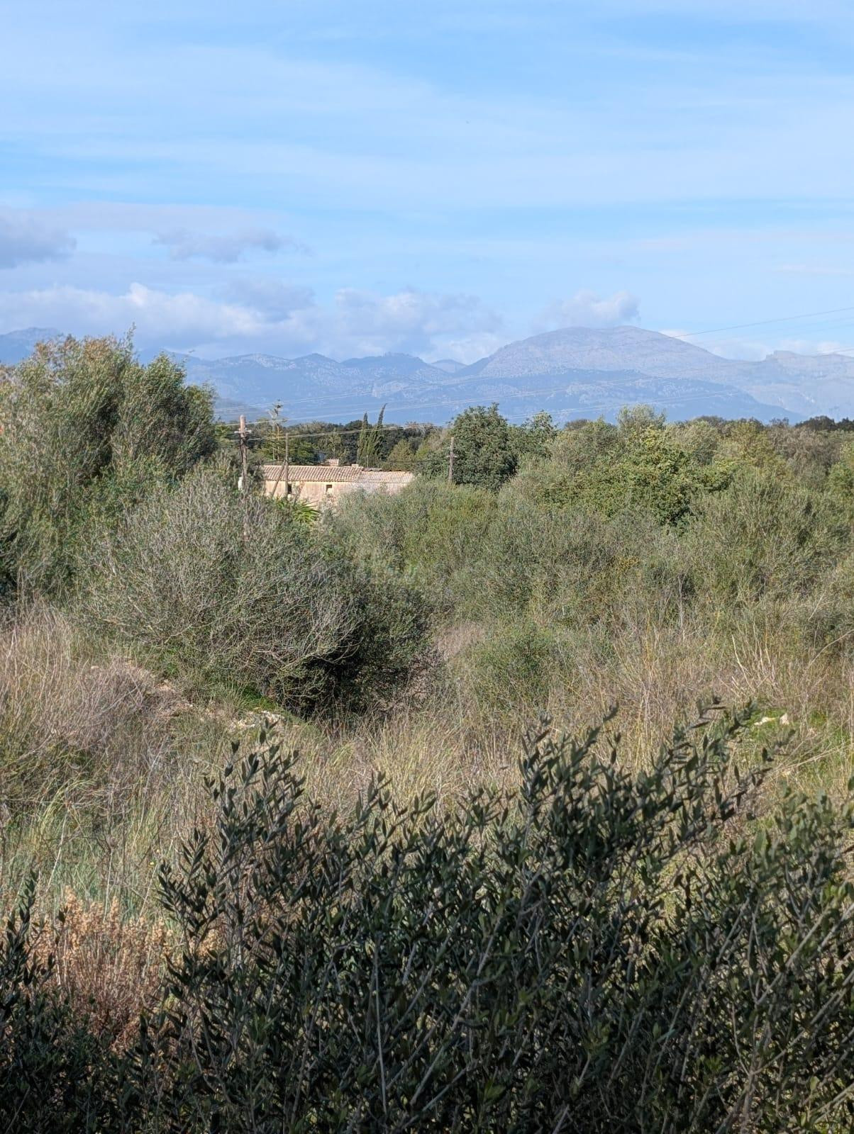 MAGNIFICA FINCA RUSTICA EN SINEU