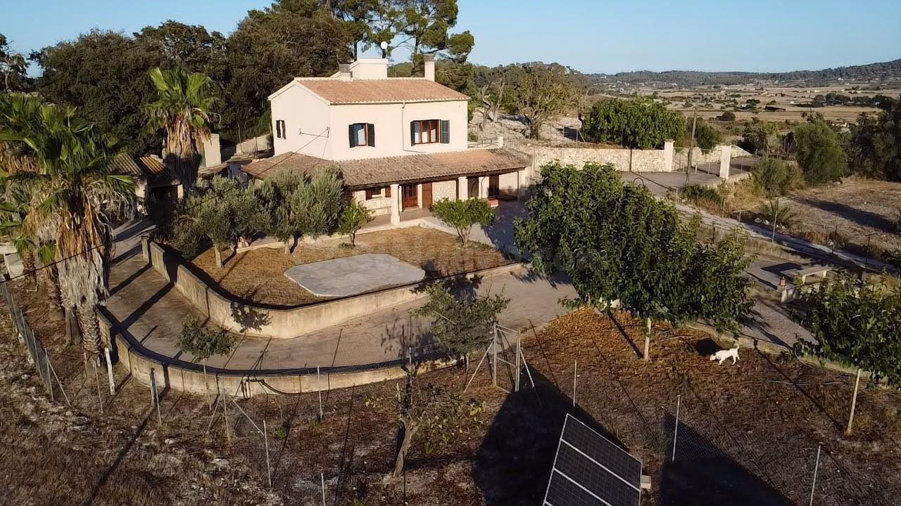 ALQUILER EXCELENTE FINCA AFUERAS DE SINEU