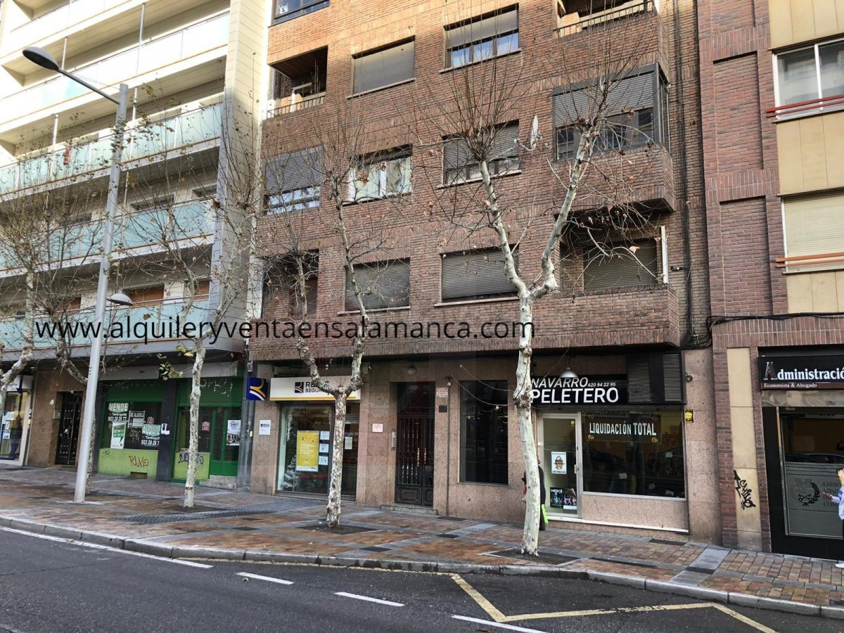 Oficina 181m² en alquiler - Labradores