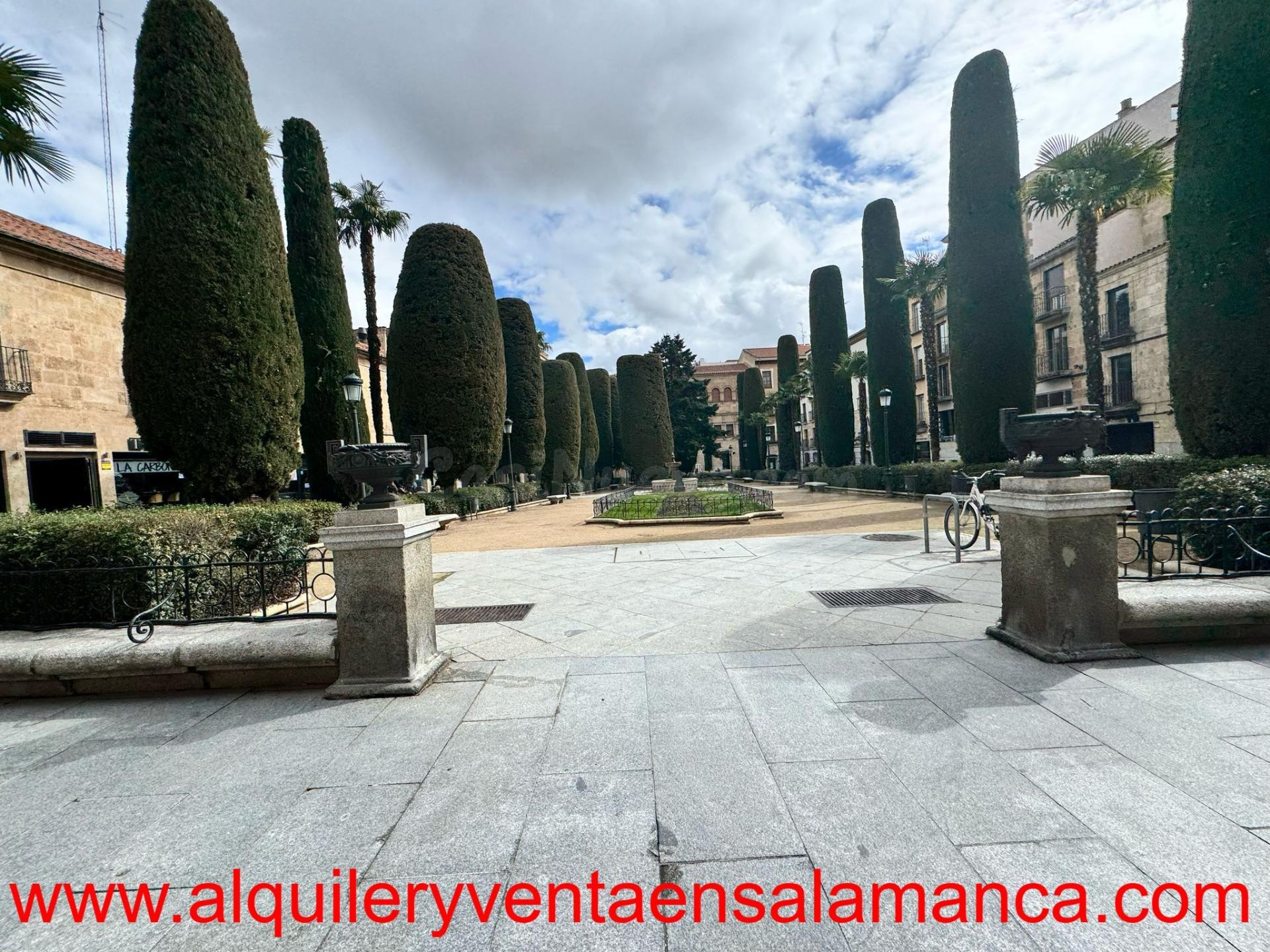 Negocio 170m² en alquiler - Centro