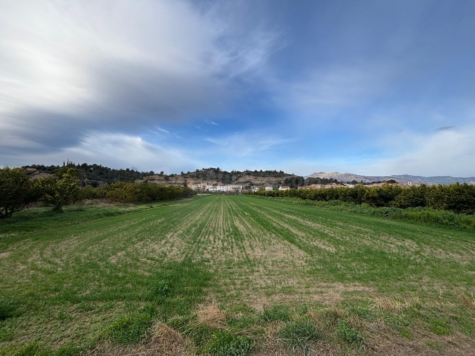 FINCA AGRARIA EN ALDOVER