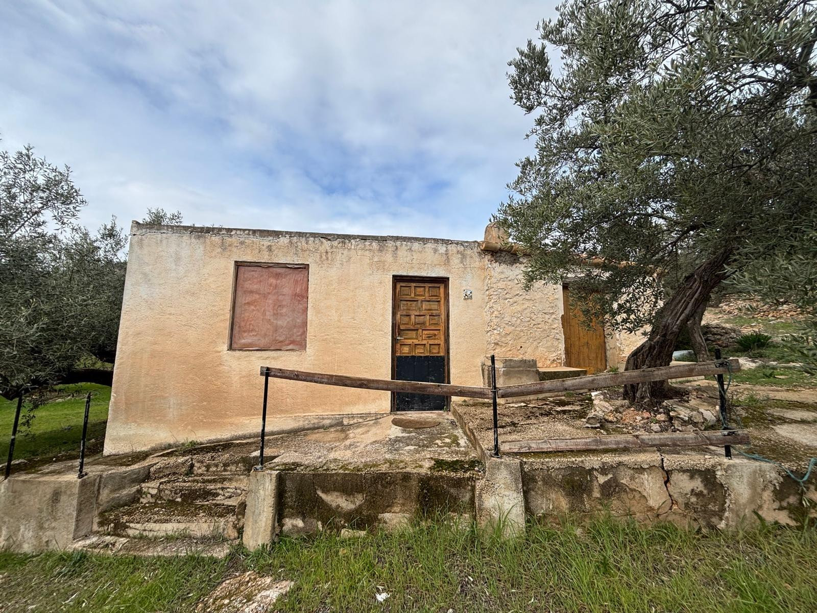 FINCA DE OLIVOS CON CASITA