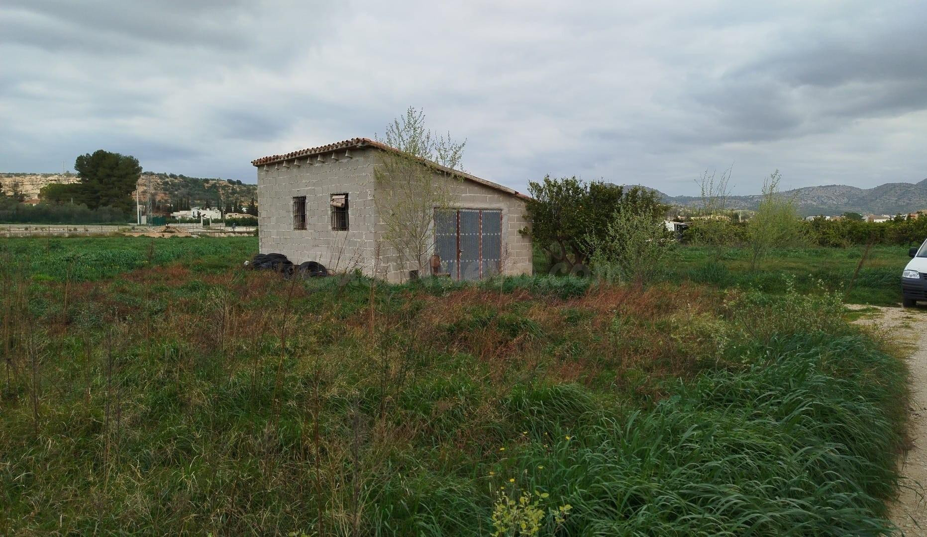 Finca rústica en Xerta con acceso directo al río Ebro