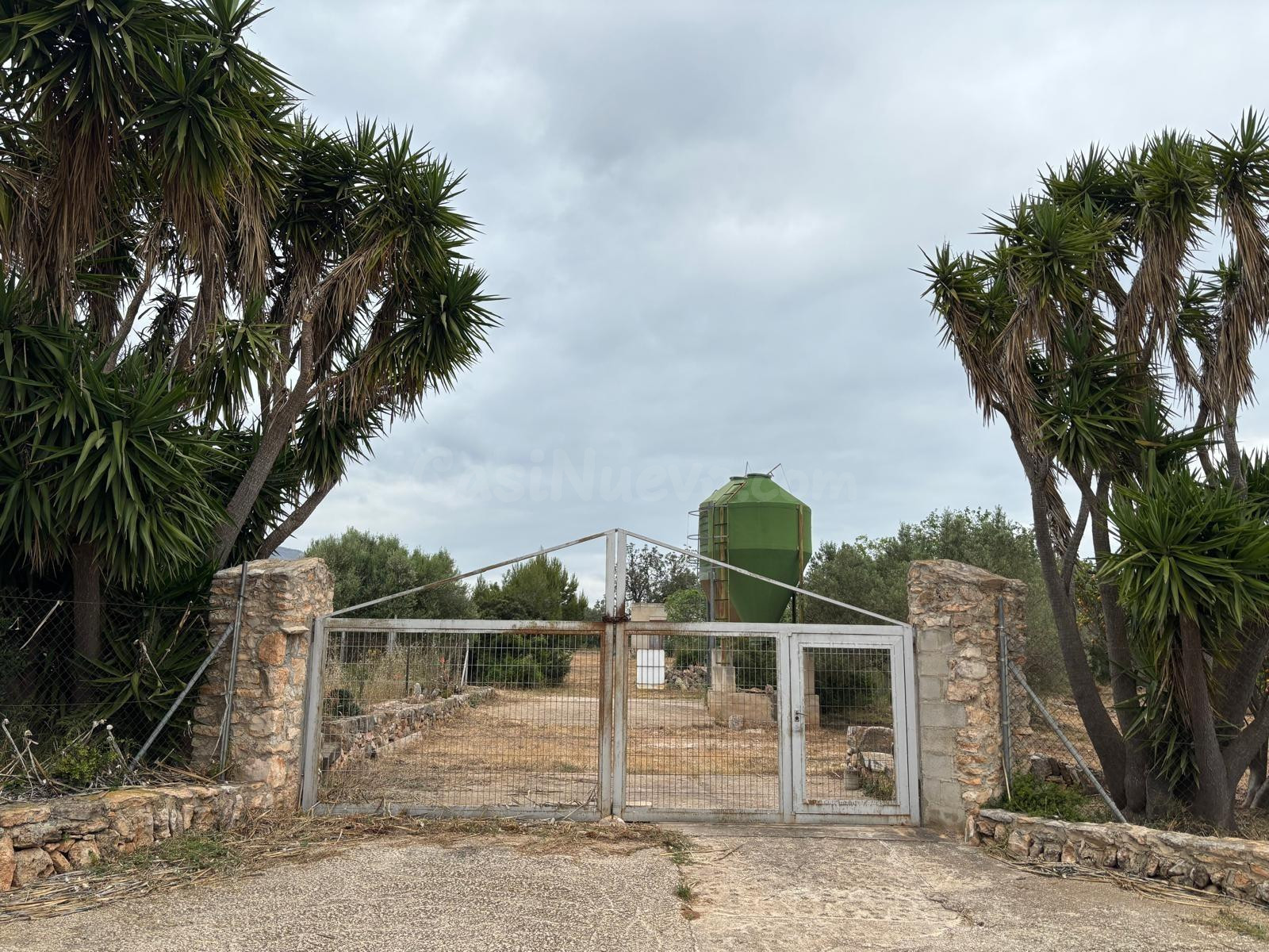 Venta conjunta de dos fincas rústicas en Xerta (granja y finca de olivos)