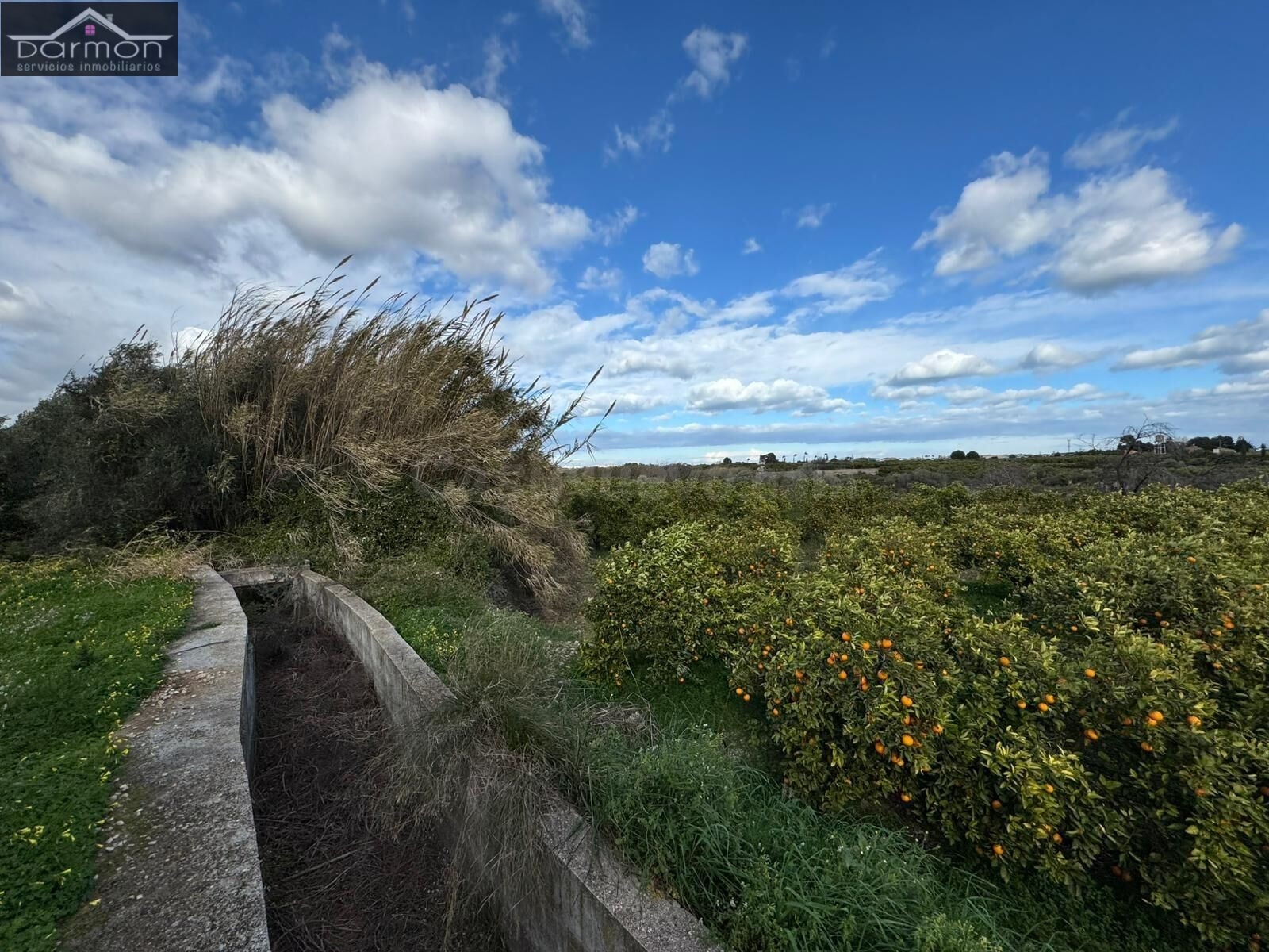 Oportunidad de Inversión: Terreno Rural en Palma de Gandia