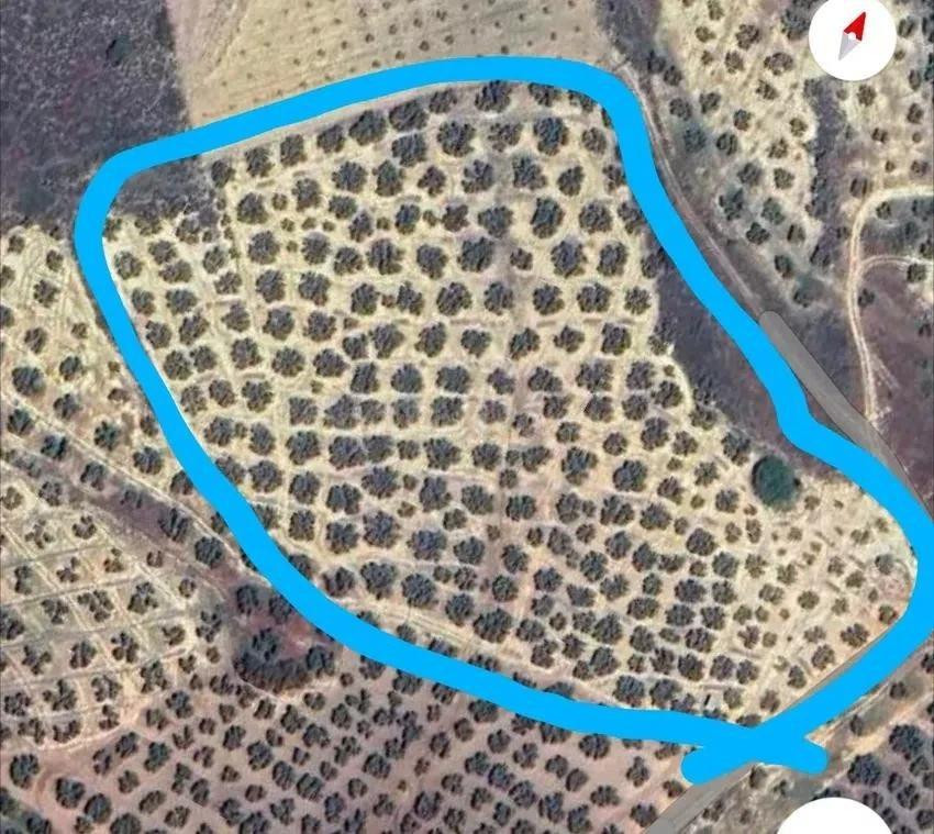 SE VENDE TERRENO EN ANTEQUERA