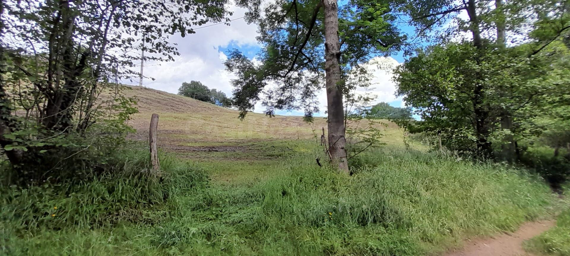Se terreno rústico con posibilidad de construir en Cereceda (Rasines)