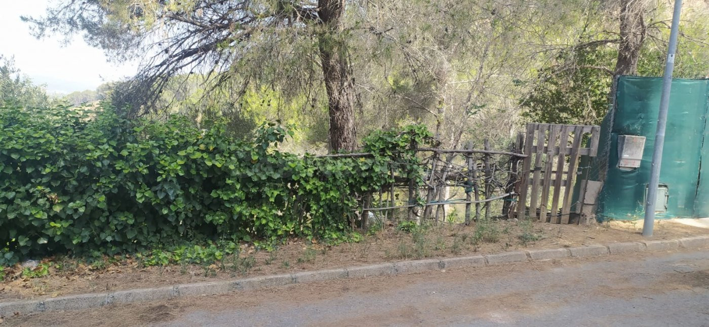 SE VENDE PARCELA EN ABRERA CAN VILLALBA