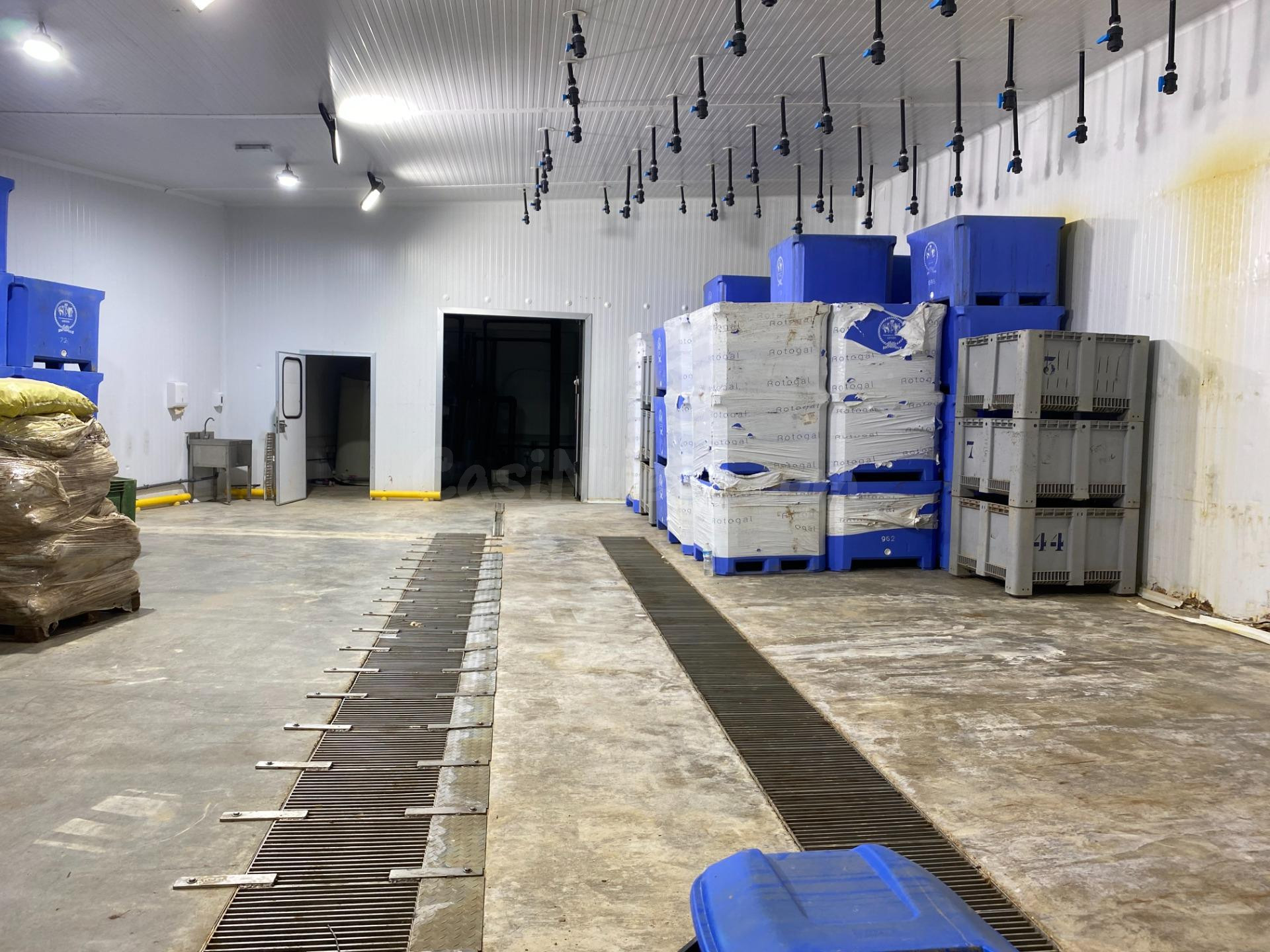 Nave con cámara frio en Venta en Albal, 1000 m.