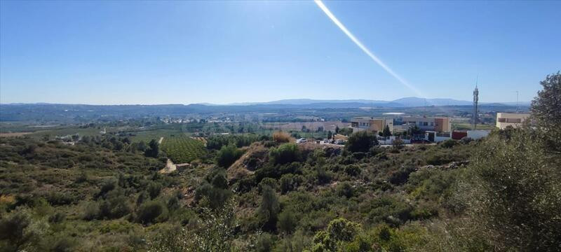 VENTA SOLAR URB. CUMBRES DE CALICANTO VALENCIA