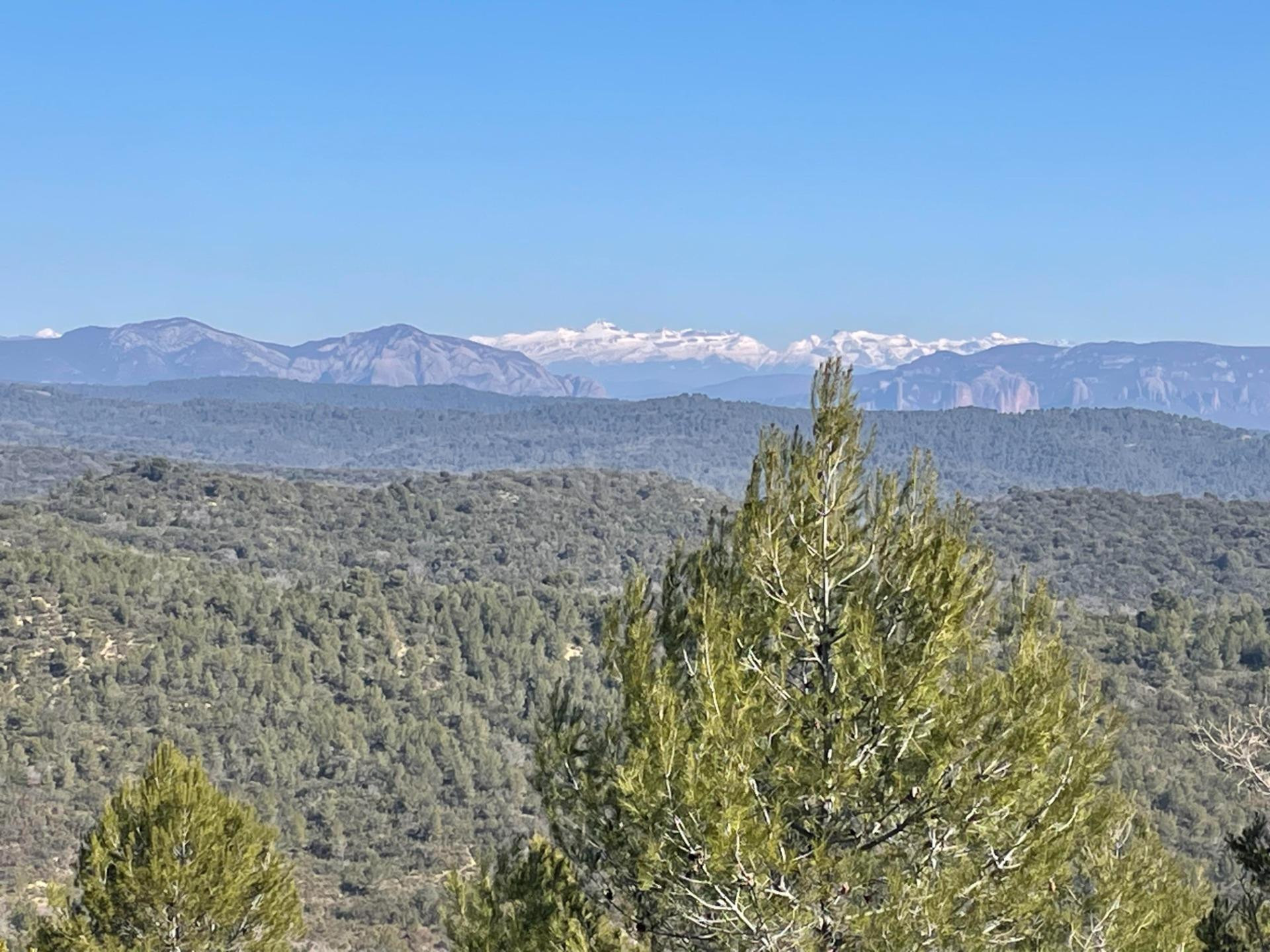 Terreno rural en venta - Luna