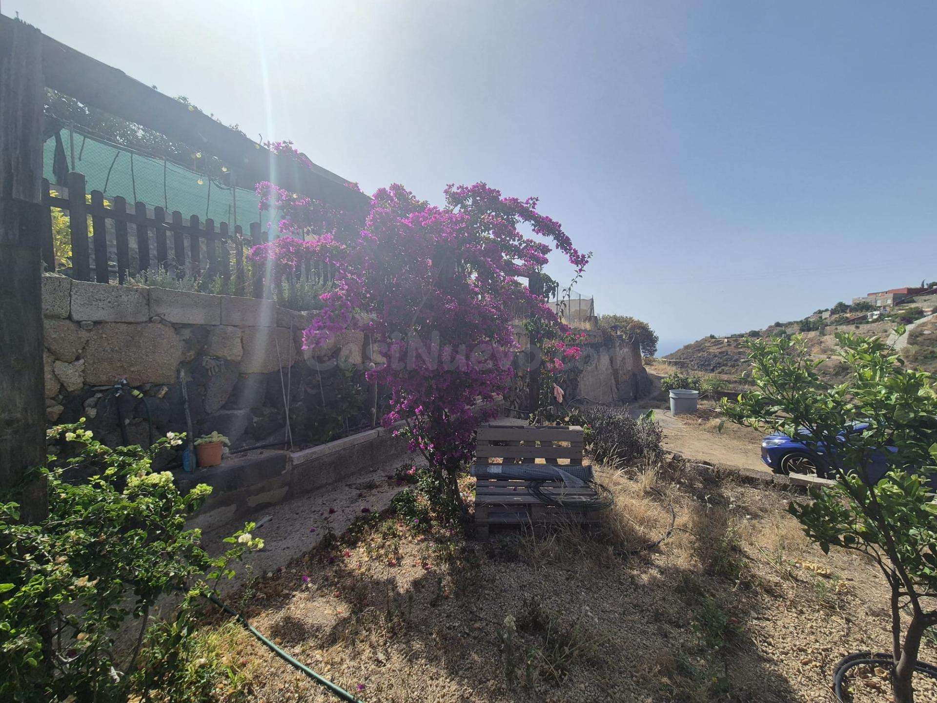 ROMANTICA FINCA GÜÍMAR