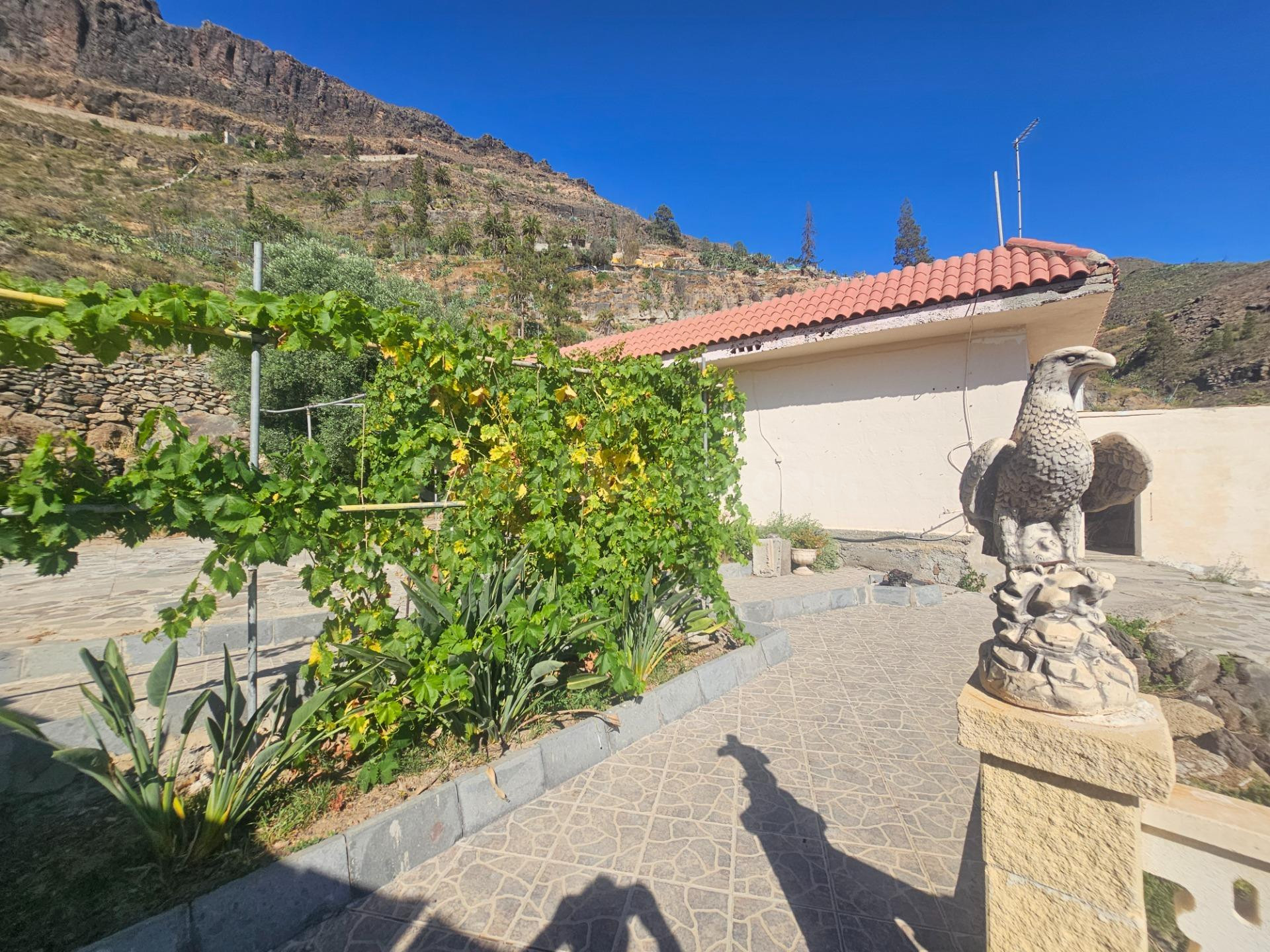 Finca rústica con vivienda, segunda edificación y 17.000 m2 de terreno en Lomo de Pedro Afonso – La Hoya, Gran Canaria