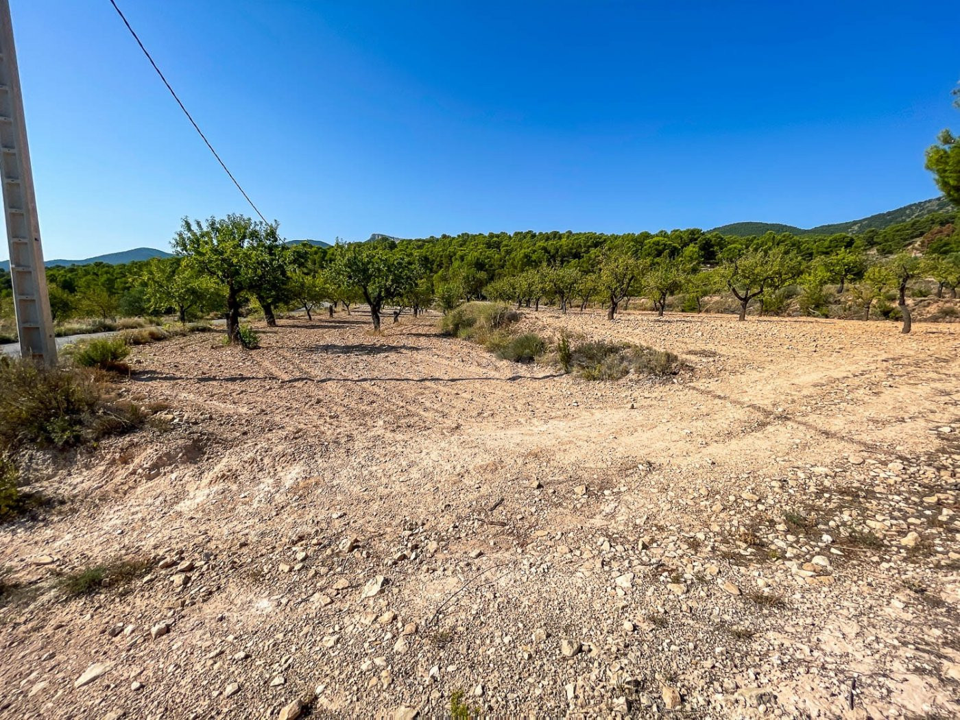 FINCA RUSTICA EN EL CORAZON DE LA MONTAÑA  DE CASTALLA