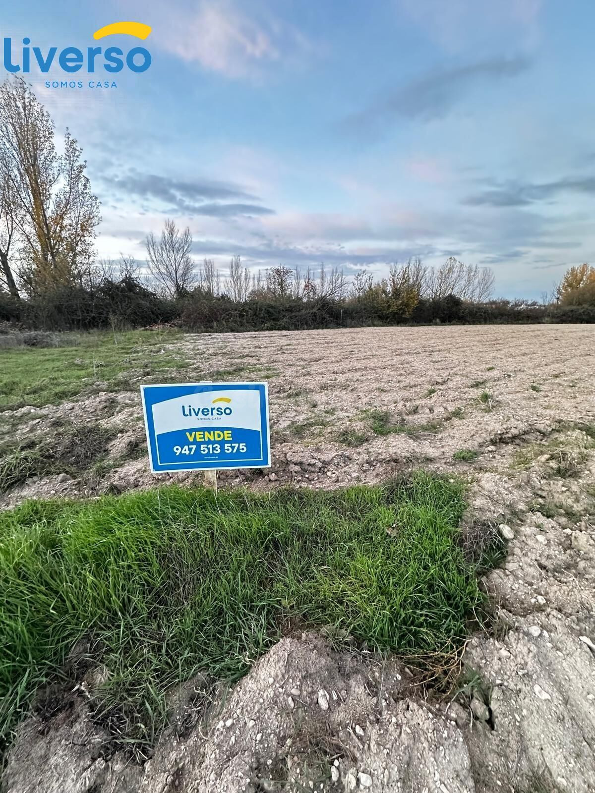 Oportunidad de Inversión: Terrenos de Regadío y Secano en Aranda de Duero