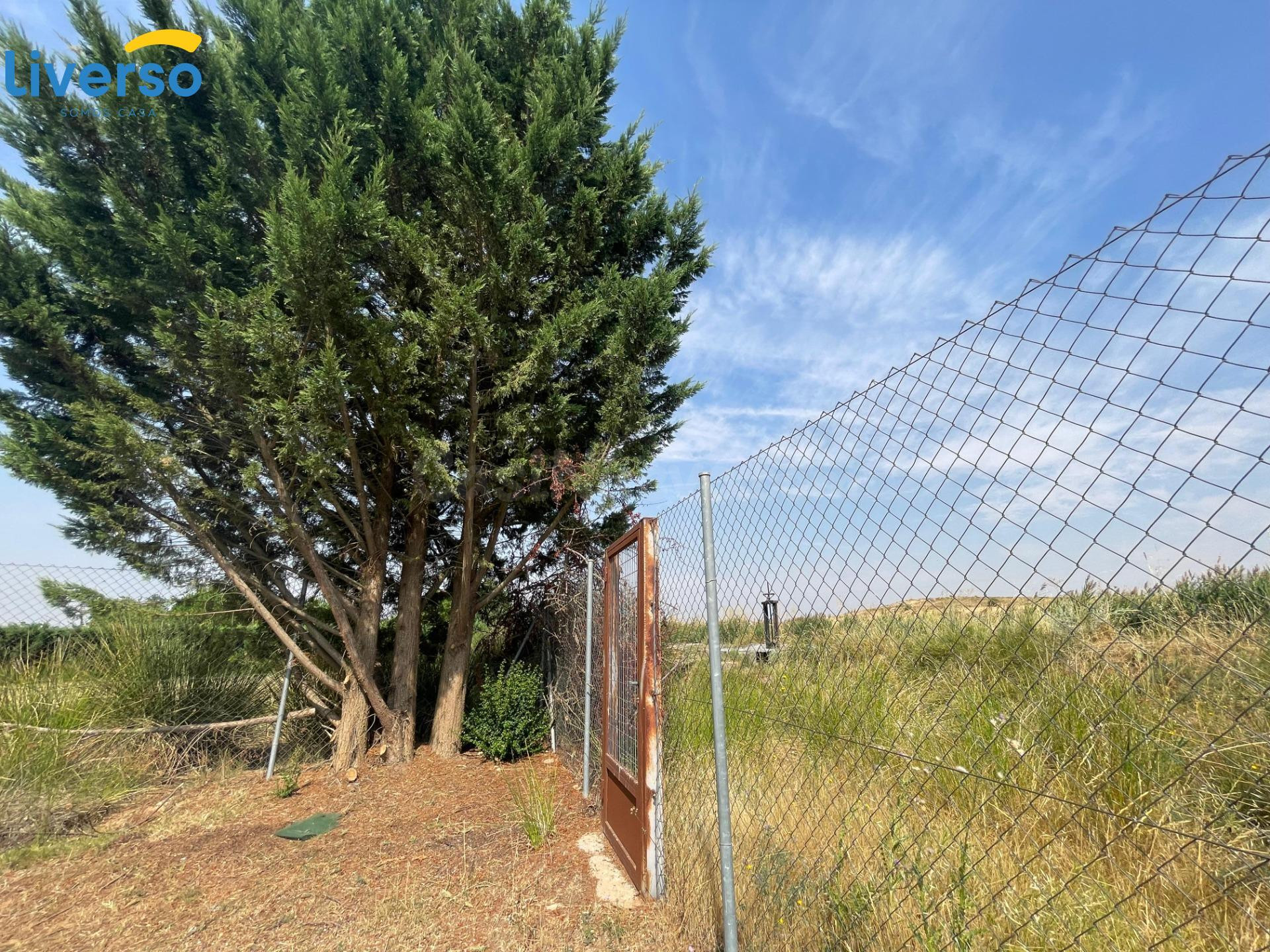 terreno de 5.000m2 vallado, en Aranda de Duero - foto 4