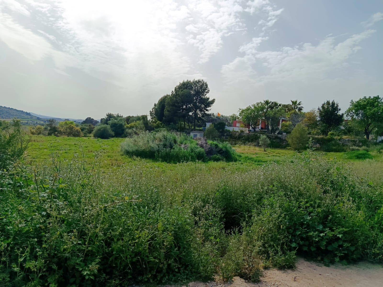 Parcela en venta - Canapar
