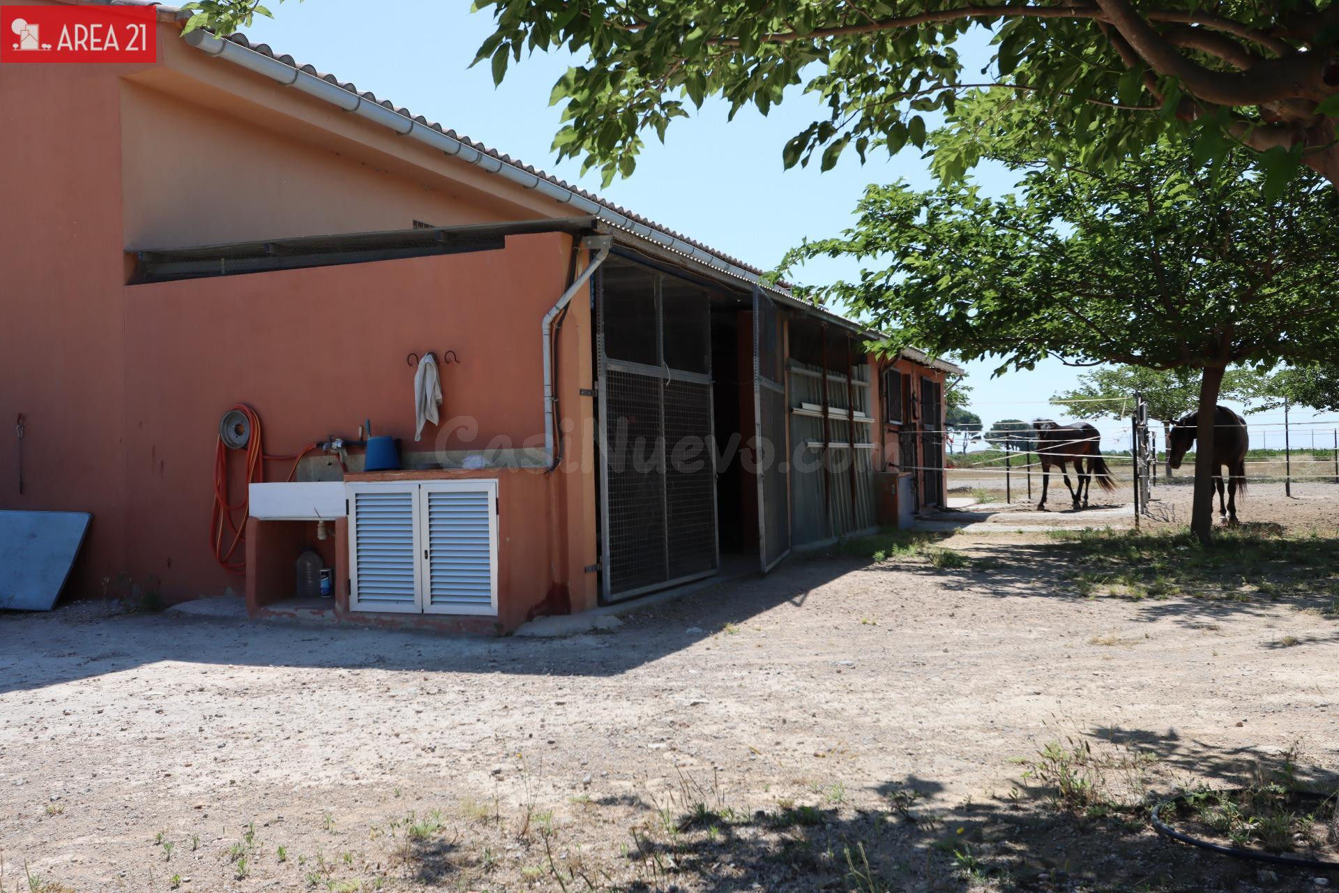 CAMPO CON NAVE IDEAL PARA  LOS AMANTES DE LOS CABALLOS en LLIRIA