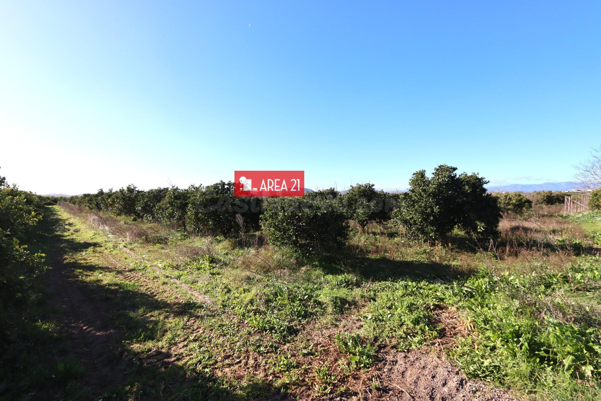 Campo  para Cultivo de 5528 m2 en Benaguacil muy cerca a la Pobla de Vallbona