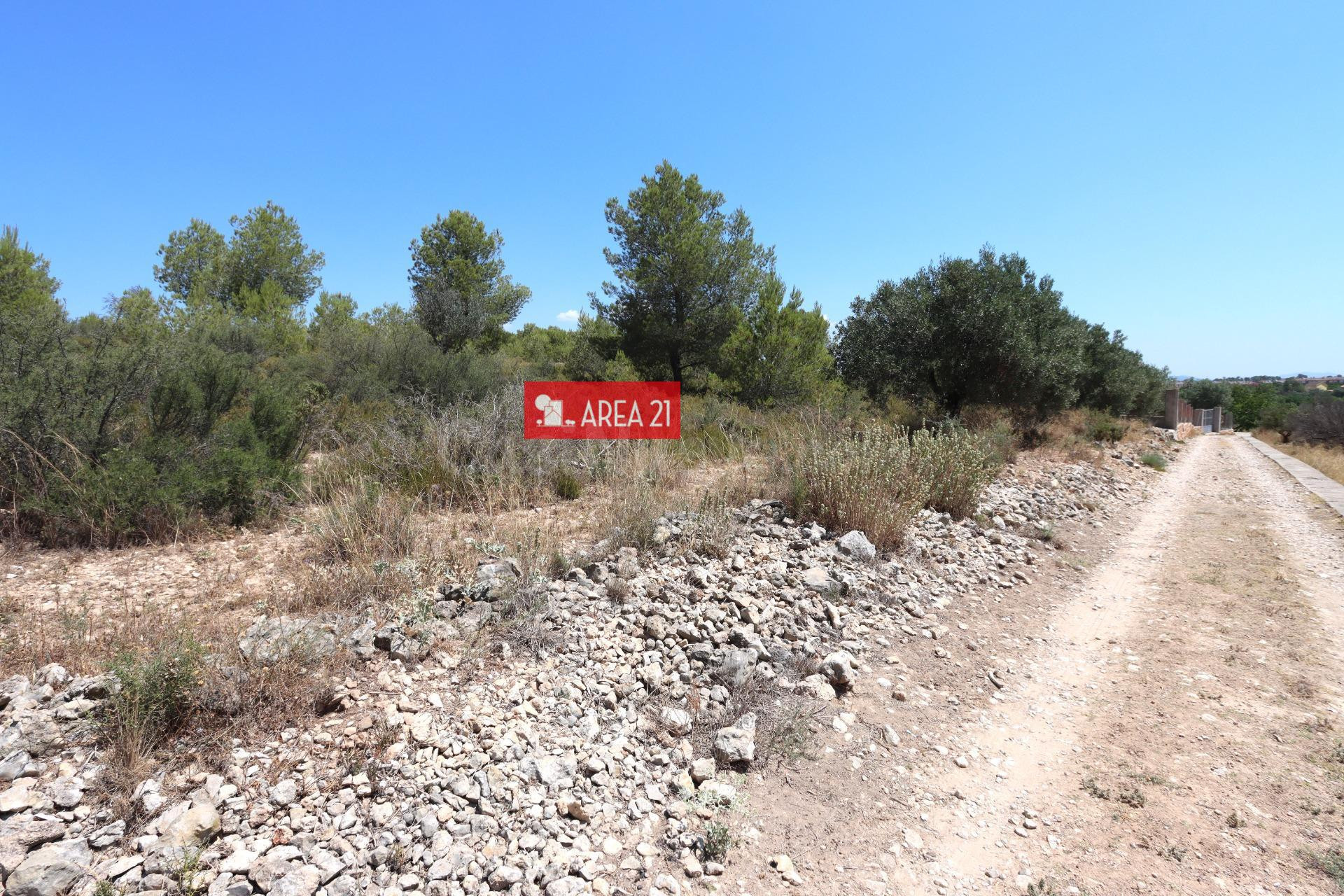 PARCELA AGRARIA CERCANA A LA POBLA DE VALLBONA-CASABLANCA