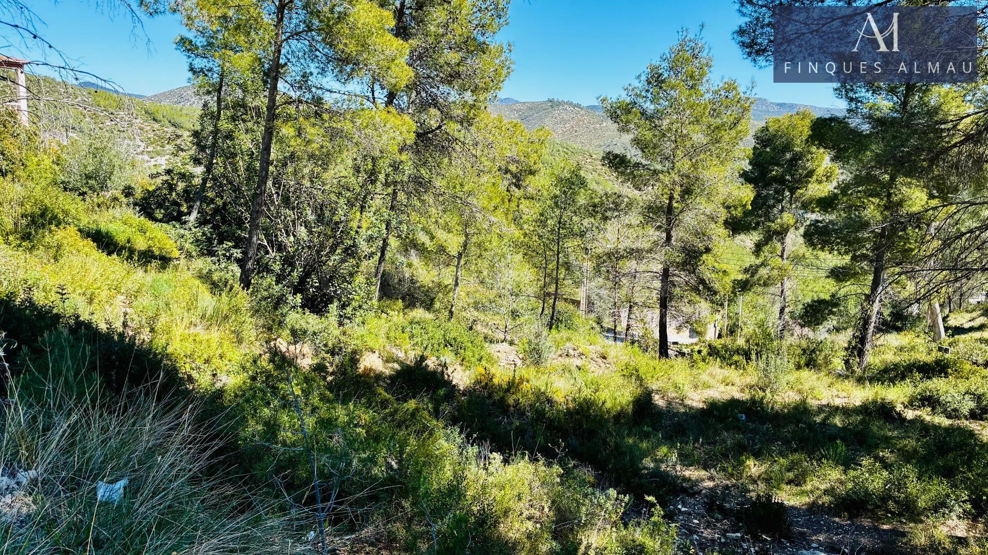 Terreno urbano en Avda de la Sardana 34 Olivella