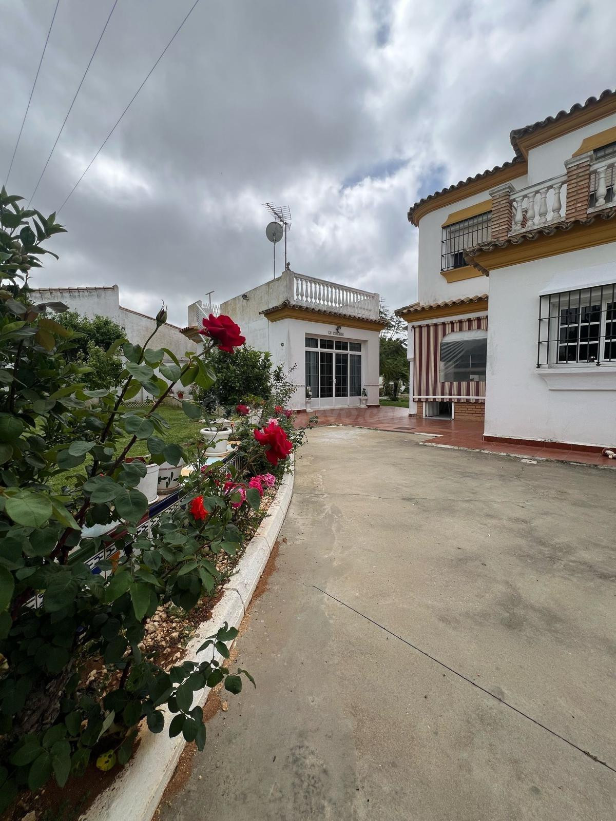 GRAN CHALET EN LA RANA VERDE