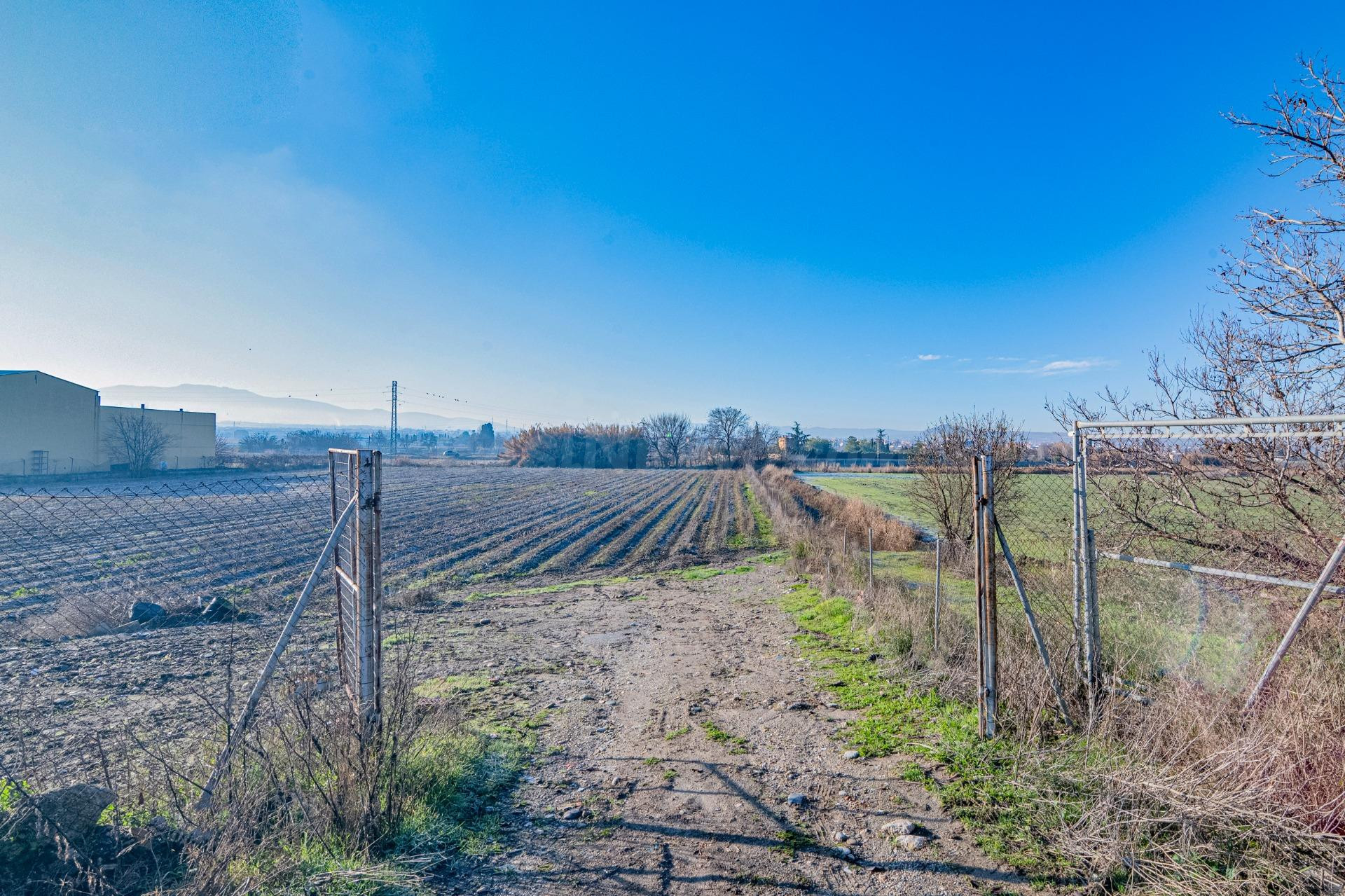 Excelente finca de regadío en la Vega de Granada, con acceso directo
