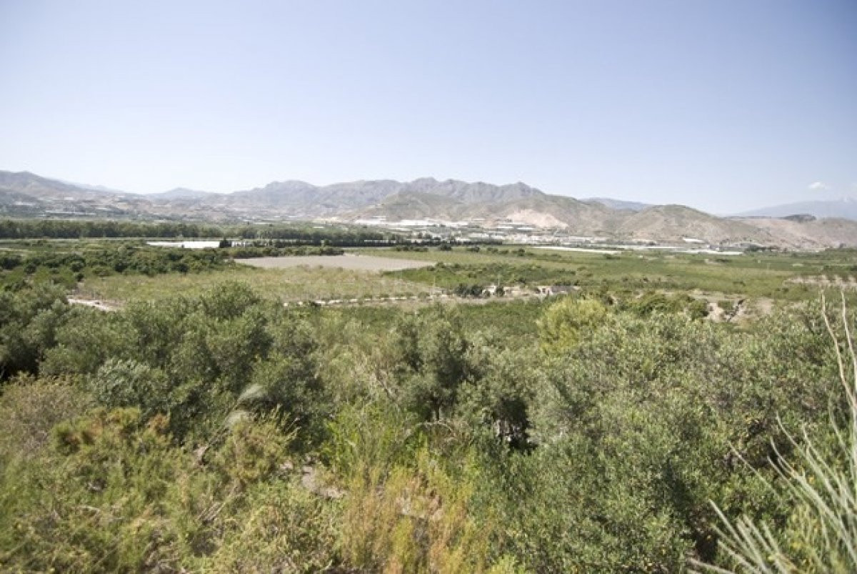 FINCA RUSTICA EN EL PUNTAL DE JARIZ