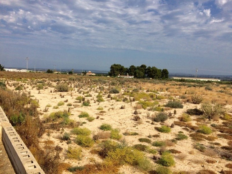 Terreno rural en venta - CARRETERA ALBATERA