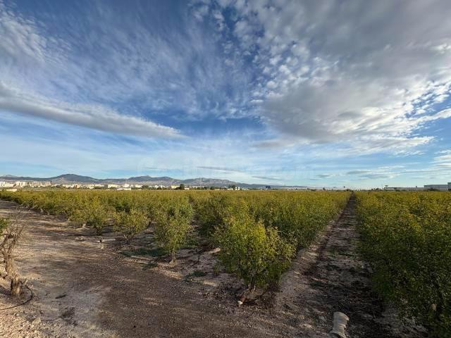 Terreno industrial en venta - POLIGONO LA GRANADINA