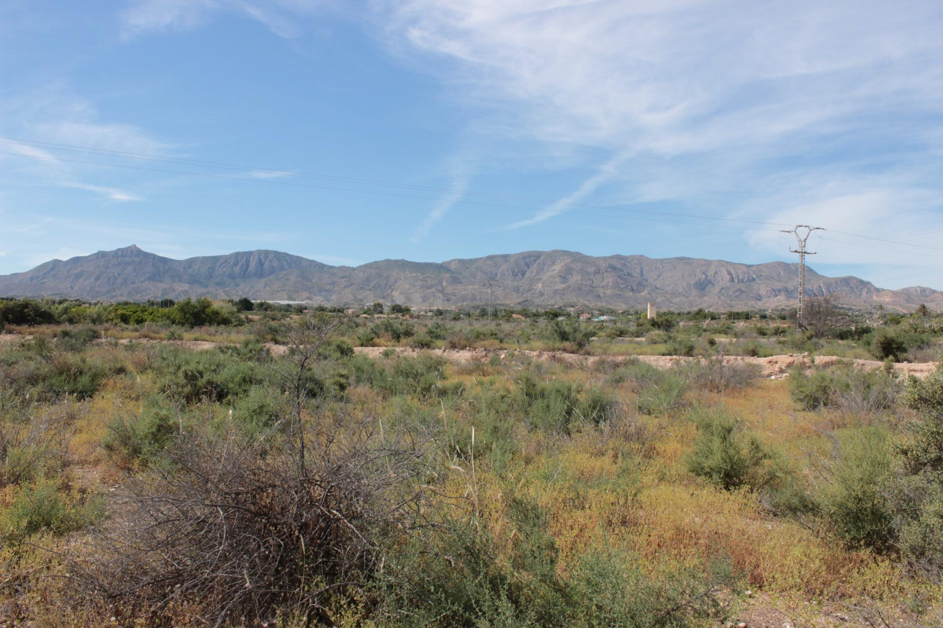 Terreno rural en venta - Partida amoros