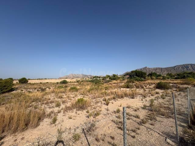 Terreno rural en venta - Partida del moco