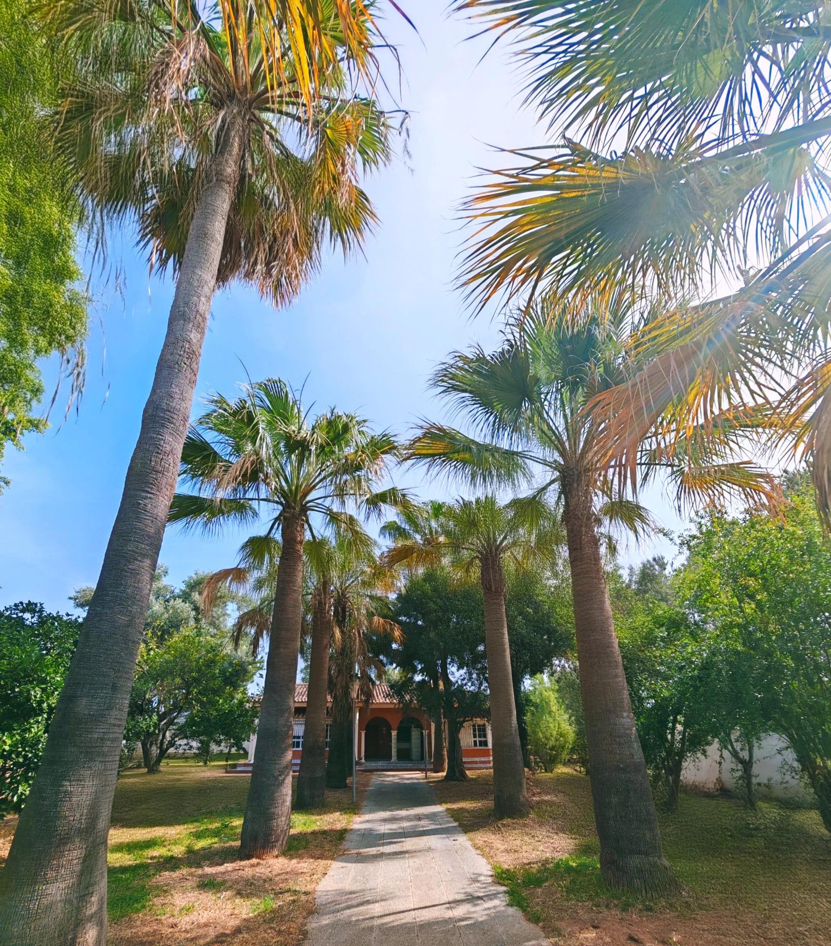 ¡Oportunidad Única en Chiclana! Residencia con Encanto Andaluz
