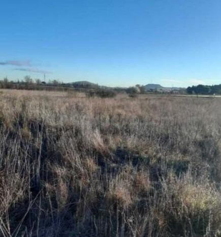 VENTA DE SUELO URBANO RESIDENCIAL EN LAGUNA DE DUERO
