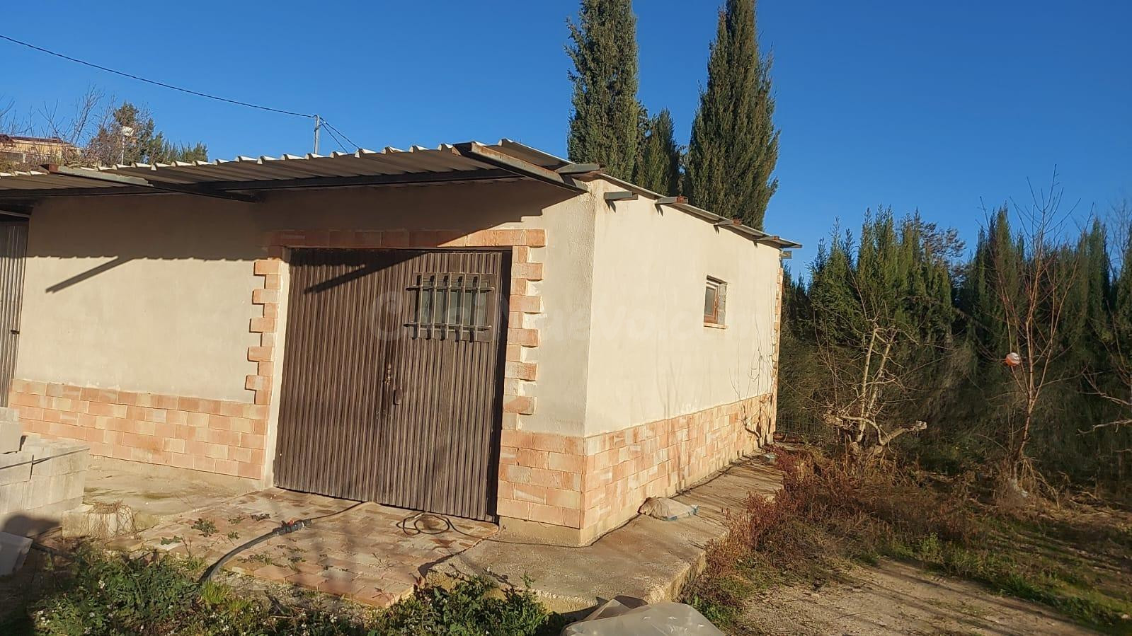 TERRENO RÚSTICO CON PLANTACIÓN FRUTAL Y ALMACÉN