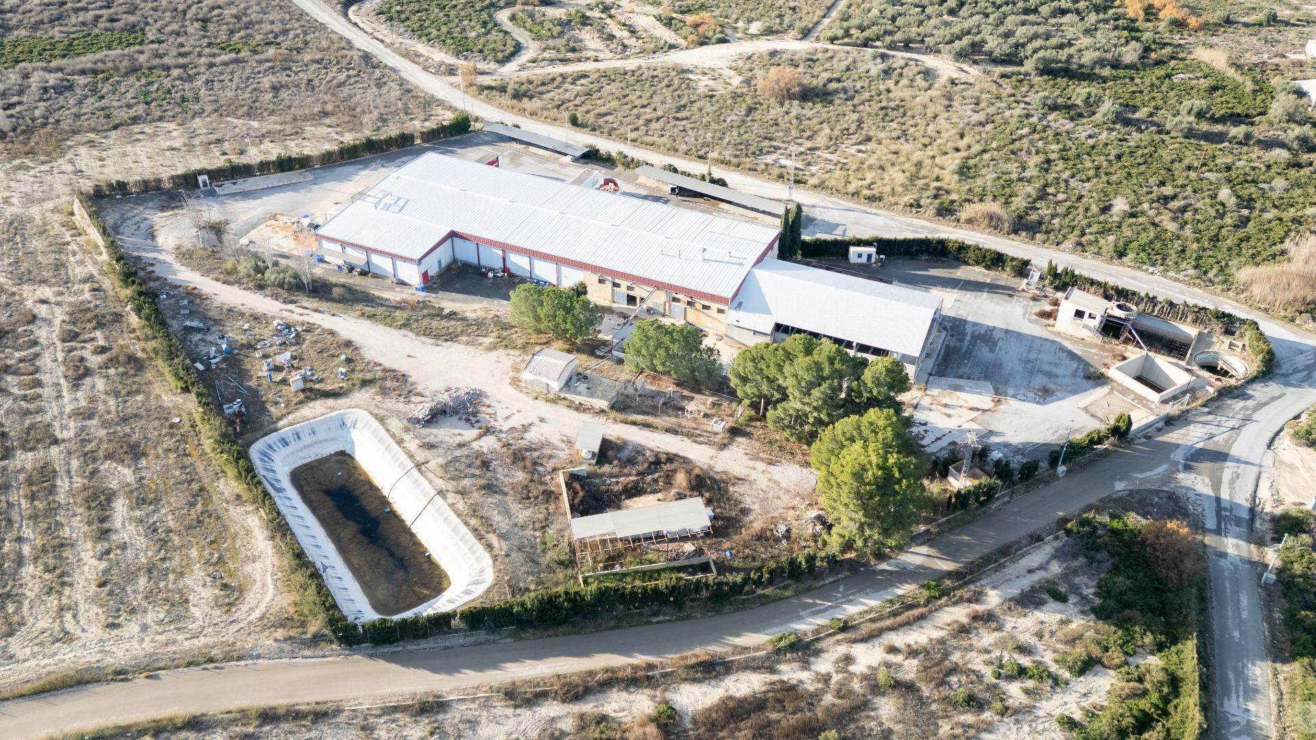 Nave Industrial - Paraje los Albares