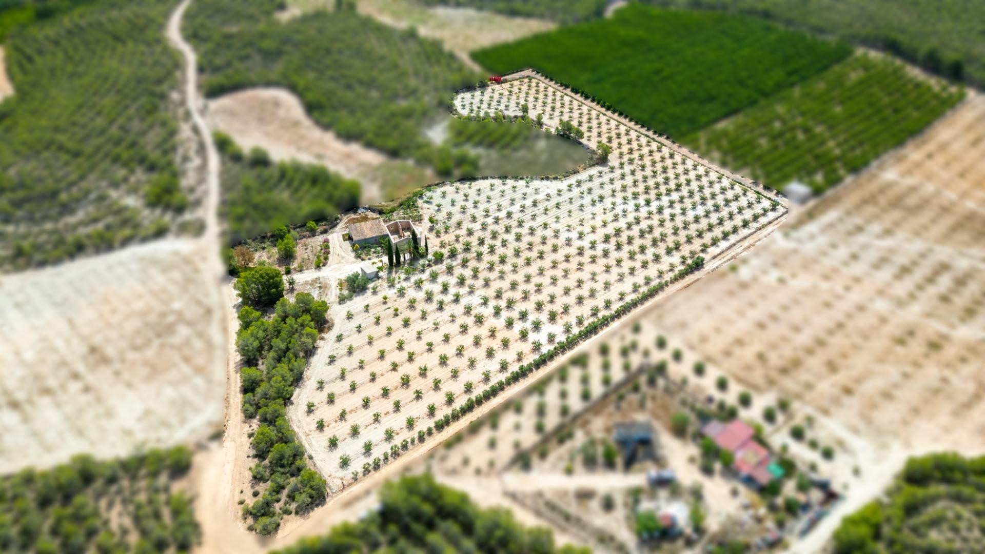 Parcela con Construcción en Paraje Mingrano