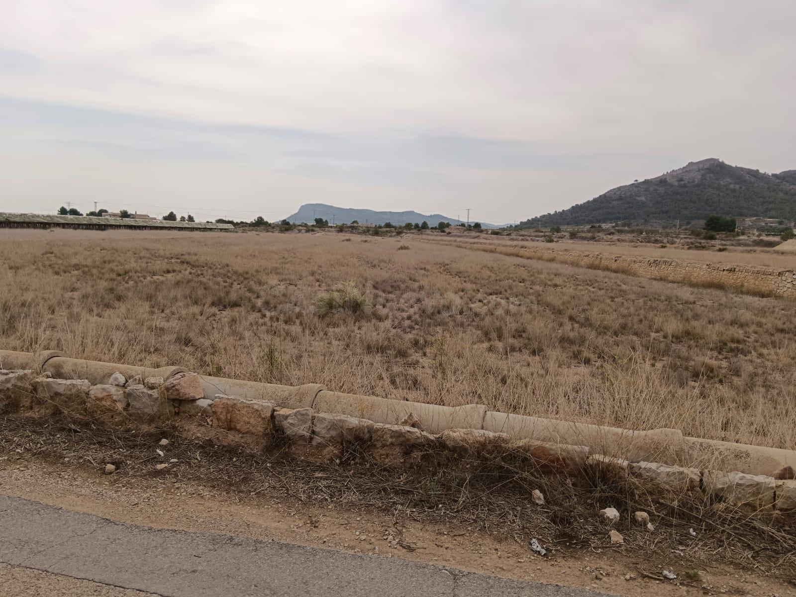 VENTA DE PARCELA EN LA ROMANA (ALICANTE)