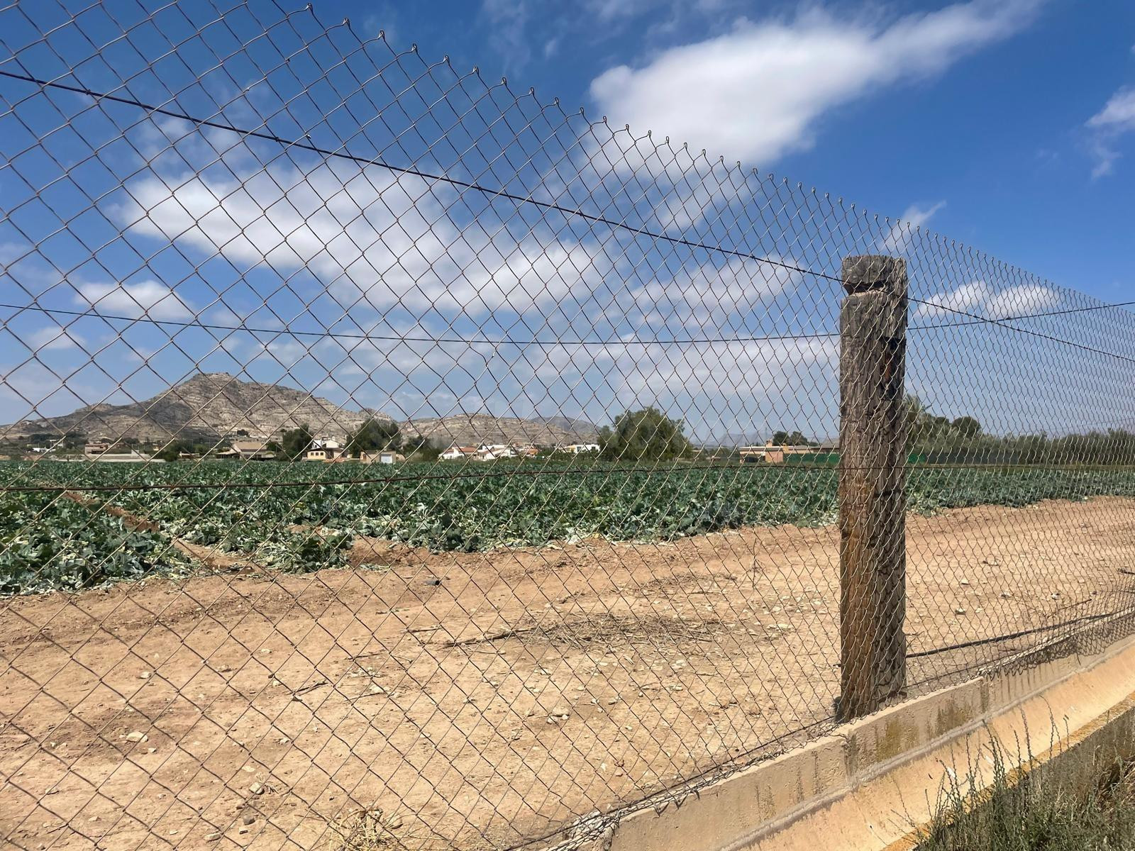 VENTA DE PARCELA EN ASPE (ALICANTE)