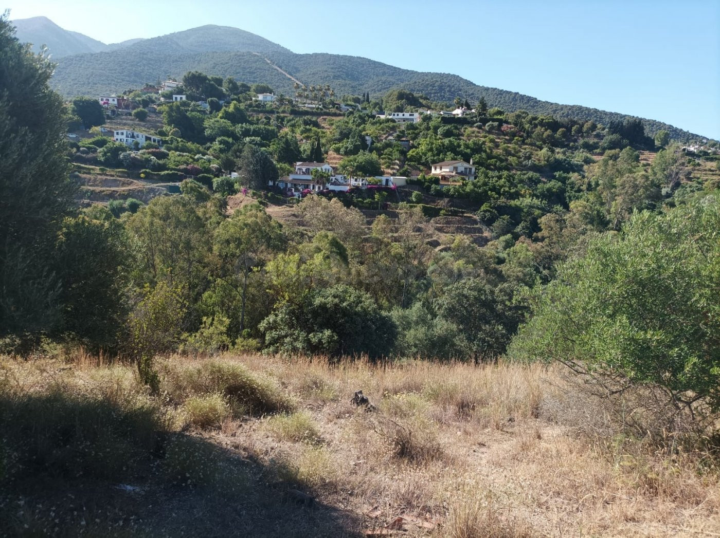 Parcela en venta - Jurique