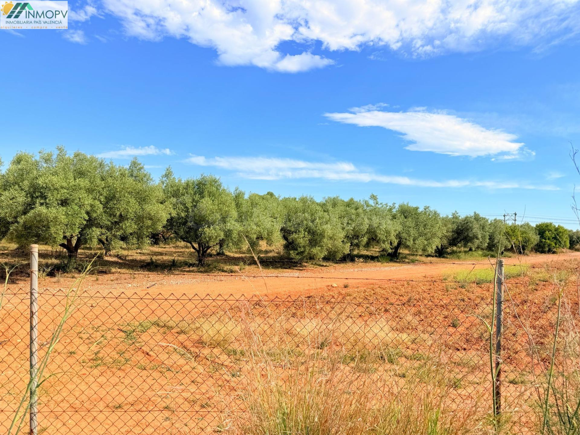 ¡OPORTUNIDAD! PARCELA RÚSTICA DE 3.900 m2 EN PEÑÍSCOLA CON ACCESO PROPIO Y POSIBILIDAD DE AGUA